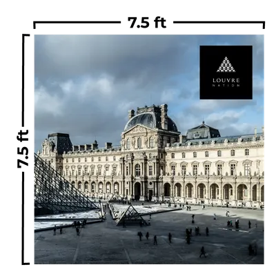 7.5 x 7.5 ft - Custom Flying Discs