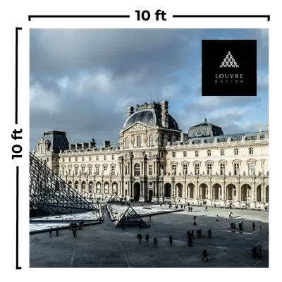 10 x 10 ft - Custom Flying Discs