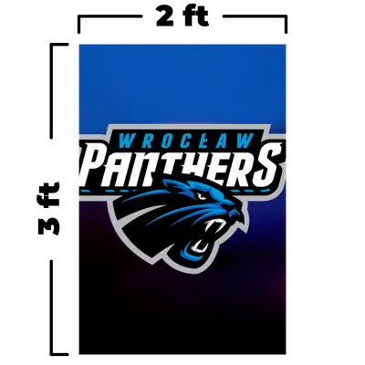 2 ft x 3 ft - Custom Flying Discs