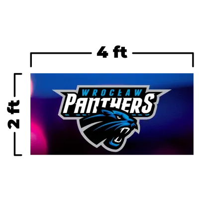 4 x 2 ft - Custom Flying Discs