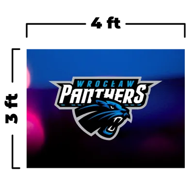 4 x 3 ft - Custom Flying Discs