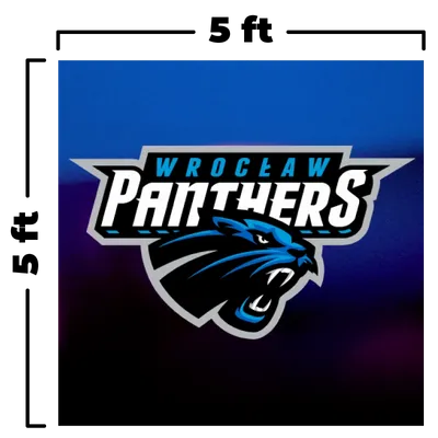 5 x 5 ft - Custom Flying Discs