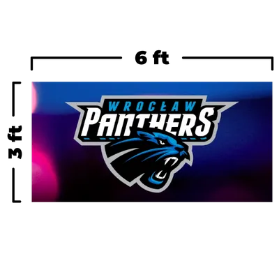 6 x 3 ft - Custom Flying Discs