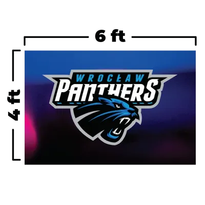 6 x 4 ft - Custom Flying Discs