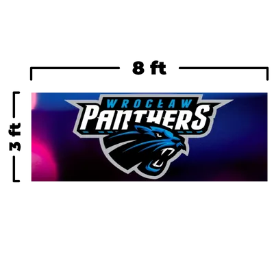 8 x 3 ft - Custom Flying Discs