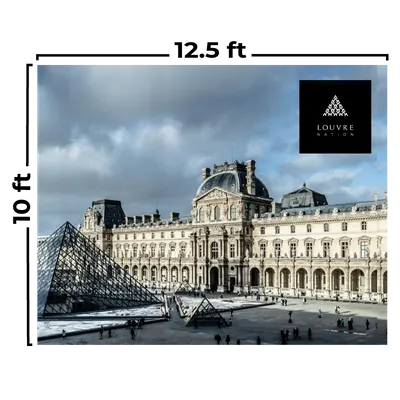 12.5 x 10 ft - Custom Flying Discs