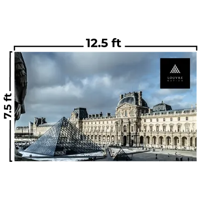 12.5 x 7.5 ft - Custom Flying Discs