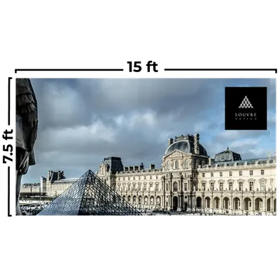 15 x 7.5 ft - Custom Flying Discs