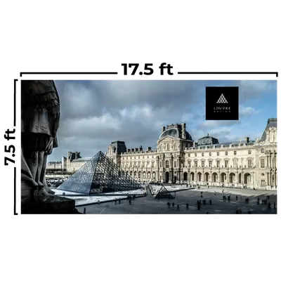 17.5 x 7.5 ft - Custom Flying Discs