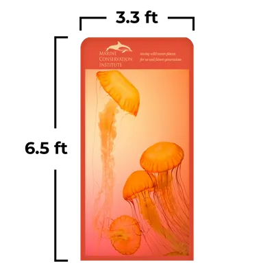 3.3 x 6.5 ft - Custom Flying Discs