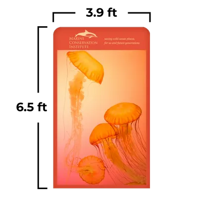 3.9 x 6.5 ft - Custom Flying Discs