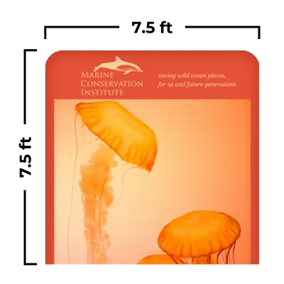 7.5 x 7.5 ft - Custom Flying Discs