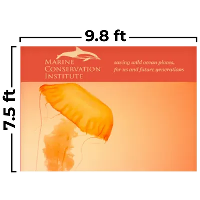 9.8 x 7.5 ft - Custom Flying Discs