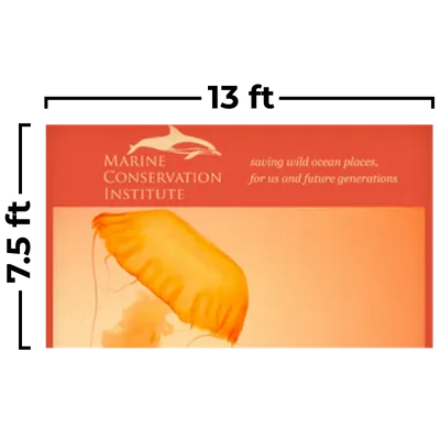 13 x 7.5 ft - Custom Flying Discs