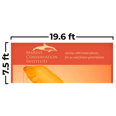 19.6 x 7.5ft - Custom Flying Discs