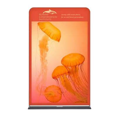 With Stand - Custom Flying Discs