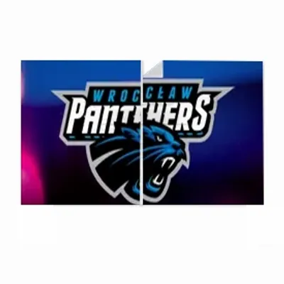 None - Custom Flying Discs