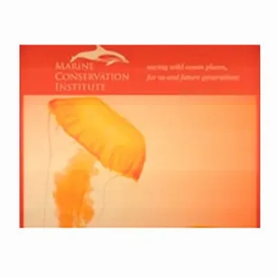 None - Custom Flying Discs