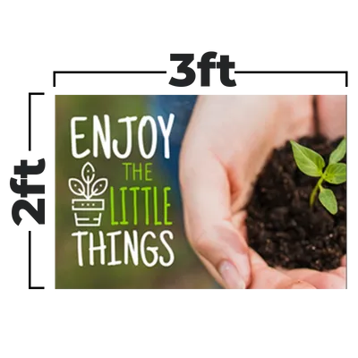 3 ft x 2 ft - Custom Flying Discs