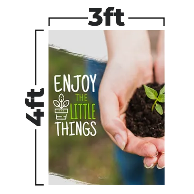 3 x 4 ft - Custom Flying Discs