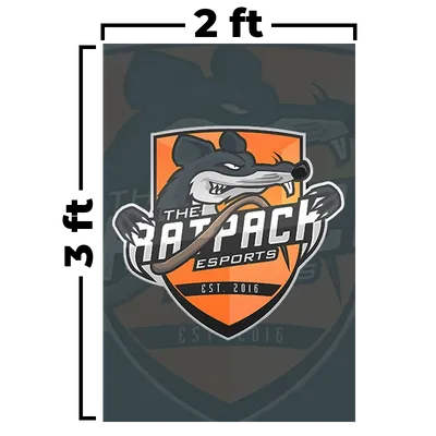 2 ft x 3 ft - Custom Flying Discs