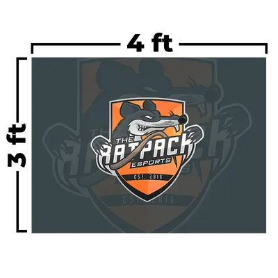 4 x 3 ft - Custom Flying Discs