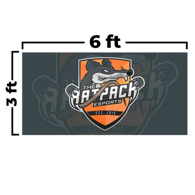 6 x 3 ft - Custom Flying Discs