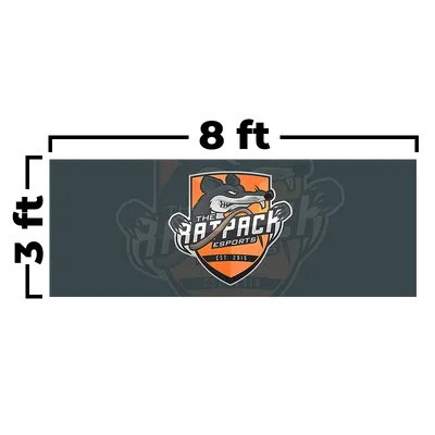 8 x 3 ft - Custom Flying Discs