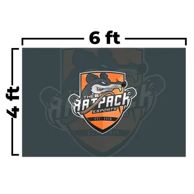 6 x 4 ft - Custom Flying Discs