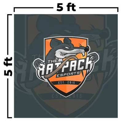 5 x 5 ft - Custom Flying Discs