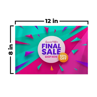 12 x 8 in 12 x 8 in - Custom Flying Discs