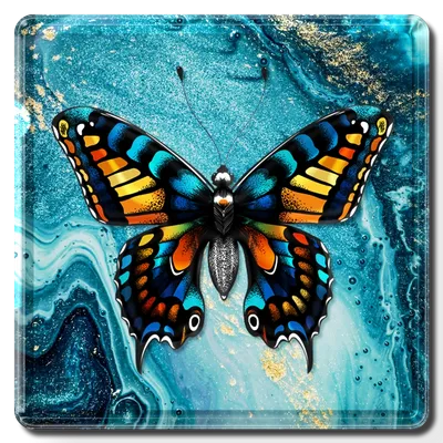 Square Square - Custom Flying Discs