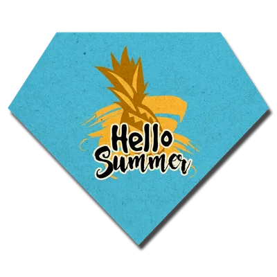 Custom Shape - Custom Flying Discs