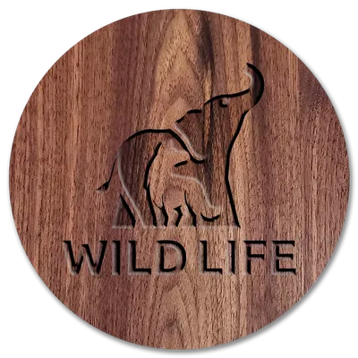 Round - Custom Flying Discs