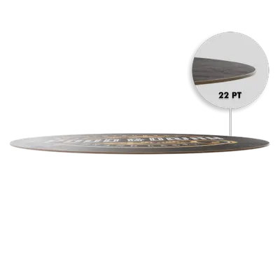 22pt - Custom Flying Discs