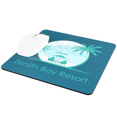 Plastic - Custom Flying Discs