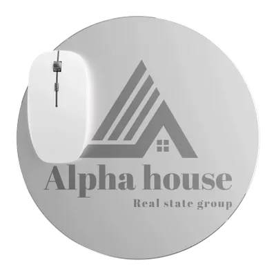 Silver - Custom Flying Discs