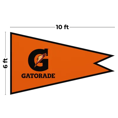 10 x 6 ft 10 x 6 ft - Custom Flying Discs