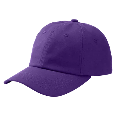 Purple Purple - Custom Flying Discs