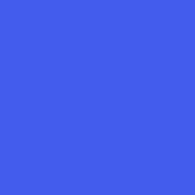 Blue - Custom Flying Discs