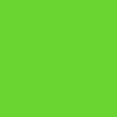 Green - Custom Flying Discs