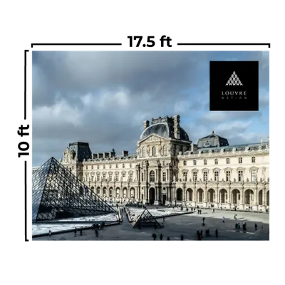 17.5 x 10 ft - Custom Flying Discs