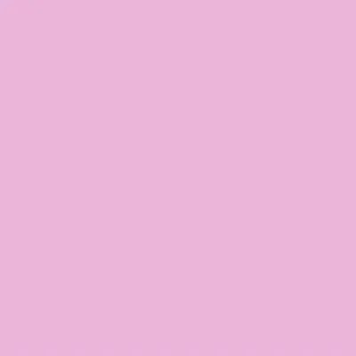 Pink Pink - Custom Flying Discs