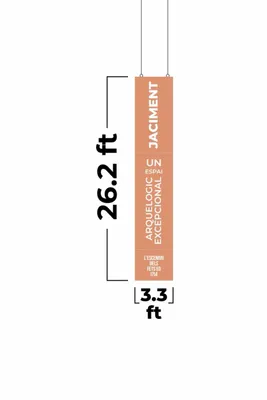 3.3 ft x 26.2 ft - Custom Flying Discs