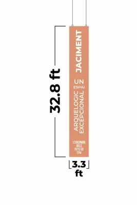 3.3 ft x 32.8 ft - Custom Flying Discs