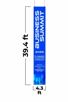 4.3 ft x 39.4 ft - Custom Flying Discs