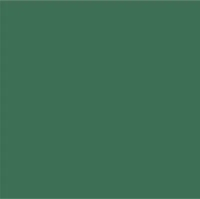 Dark Green Dark Green - Custom Flying Discs