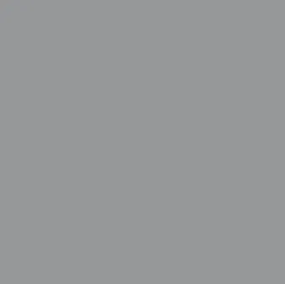 Gray Gray - Custom Flying Discs