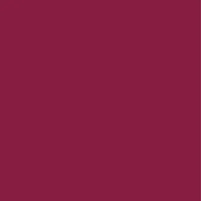 Burgundy Burgundy - Custom Flying Discs