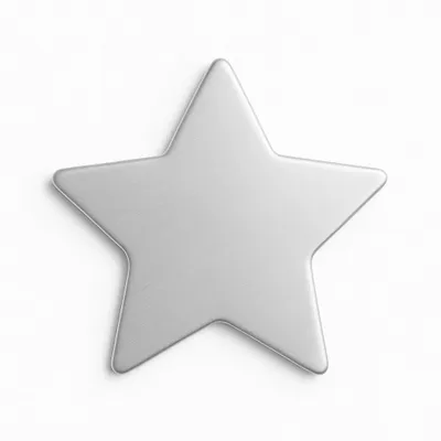 Custom Shape - Custom Flying Discs